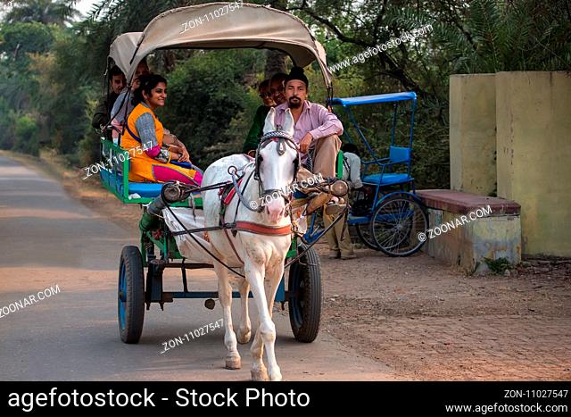 Visitor riding in a horse cart in Keoladeo Ghana National Park, Bharatpur, India. The park was declared a protected sanctuary in 1971 and it is also a World...