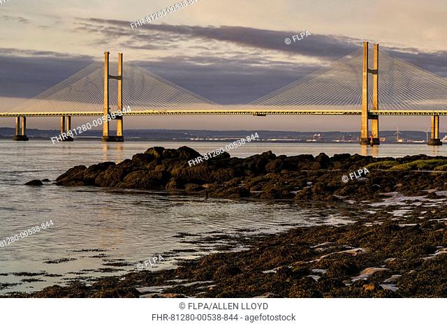 View of road bridge over river at sunrise, viewed from Black Rock near Portskewett, Second Severn Crossing, River Severn, Severn Estuary, Monmouthshire, Wales