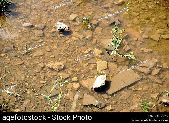 Die Draufsicht und Nahaufnahme auf die Steine eines Geröllbettes in einem Teich
