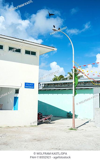 2018.22.09, Maledives, Hanimadoo: The Ocean View Cafe in the Village of Hanimadoo | usage worldwide. - Hanimadoo/Haa Dhaalu Atoll/Maldives