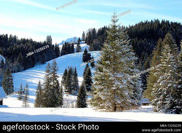 Germany, Bavaria, mountains, Hirzeneck, winter scenery, Upper Bavaria, mountain landscape, scenery, mountains, forest, snow, winter, season
