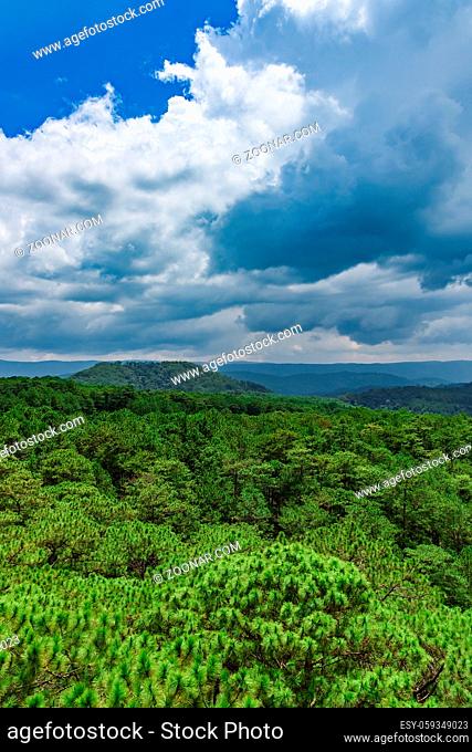 view from the height of tropical green jungle blue sky with clouds vietnam