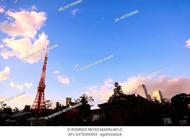 View of Zojoji temple and Tokyo Tower