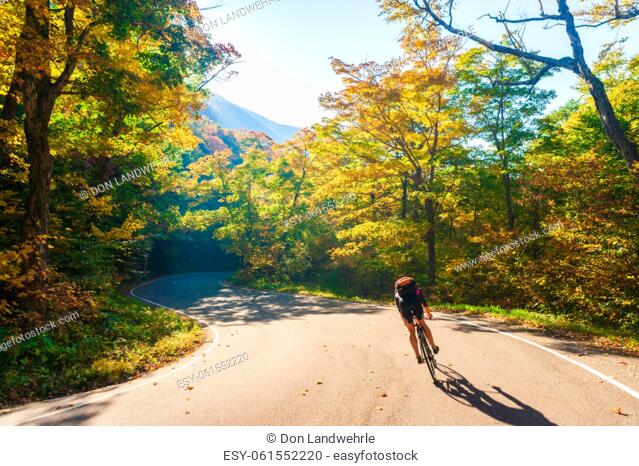 Cyclist biking down a curvy S-Shaped road on an autumn day in Vermont