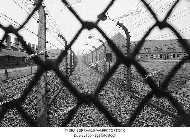 Concentration camp. Auschwitz. Poland