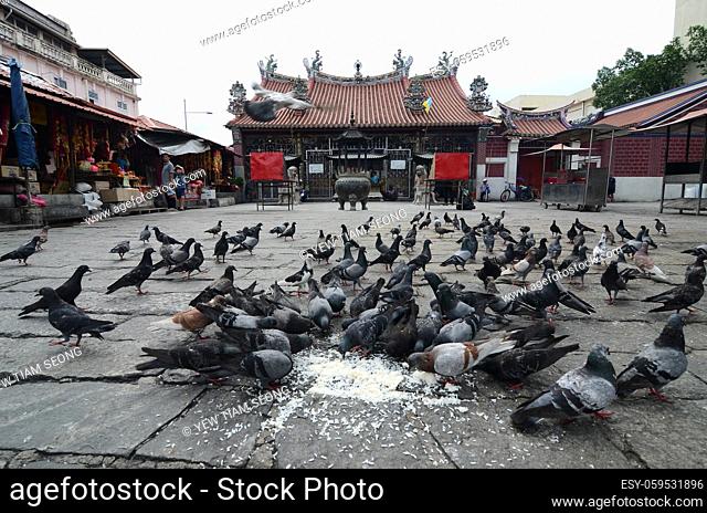 Georgetown, Penang/Malaysia - Aug 27 2016: Pigeons feeding by local in front of Goddess of Mercy temple