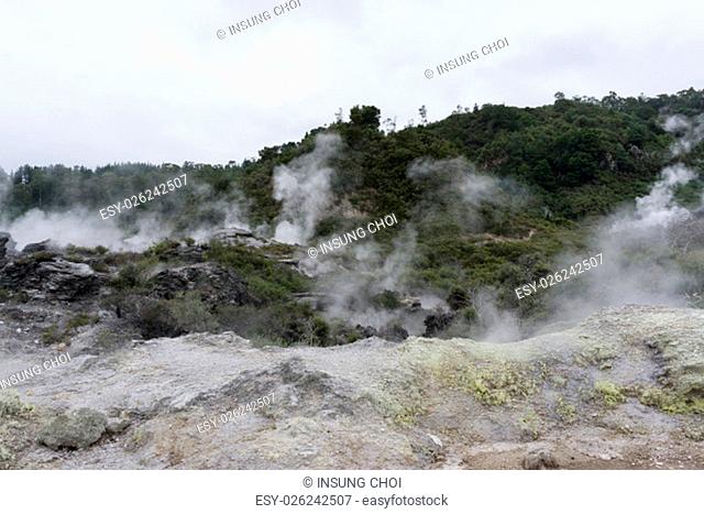 te puia geothermal valley landscape view with live geysers and mudpools. In Rotorua, New Zealand