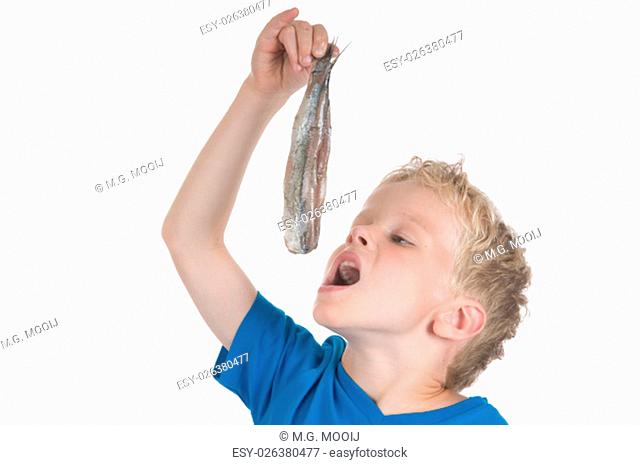 Little boy eating a herring. It is a Dutch tradition to eat a herring like this. In Holland they also call a herring a Maatje