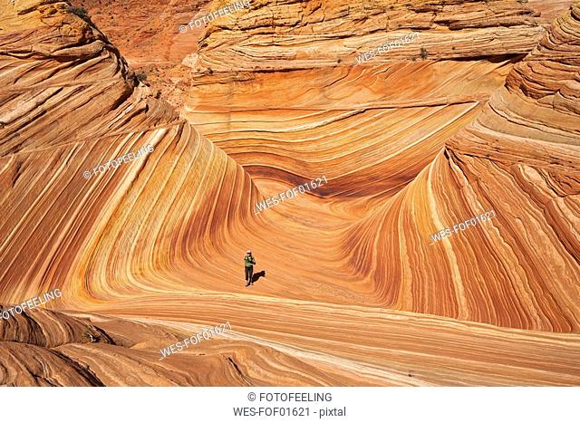 USA, Utah, Coyote Buttes, The wave and single tourist