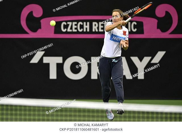 Czech tennis player Barbora Strycova in action during a training session prior to the final match of the Fed Cup between Czech Republic and USA