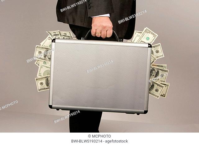 Dollar banknotes in money suitcase