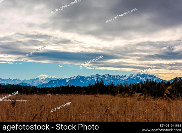 Moor in Upper Bavaria in winter with rest of snow and alpine mountains in background