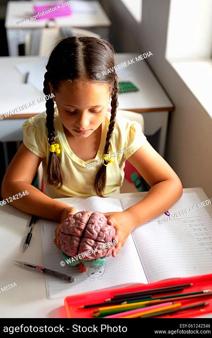 High angle view of caucasian elementary schoolgirl analyzing brain model while sitting at desk
