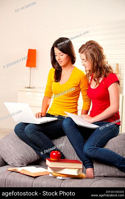 Schoolgirls learning at home on couch with books and laptop, looking at computer screen