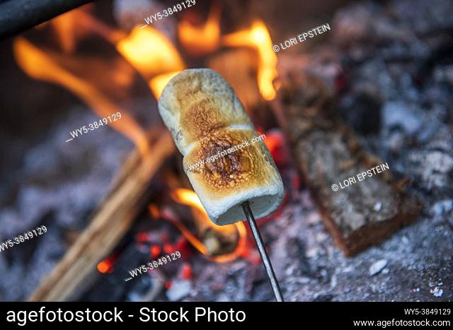 Marshmallows roast over an open fire