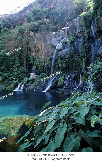 Natural pool and waterfall Bassin des aigrettes, Saint Gilles les Hauts, , La Reunion island (France), Indian Ocean