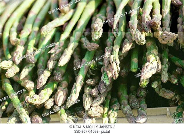 Close-up of asparagus