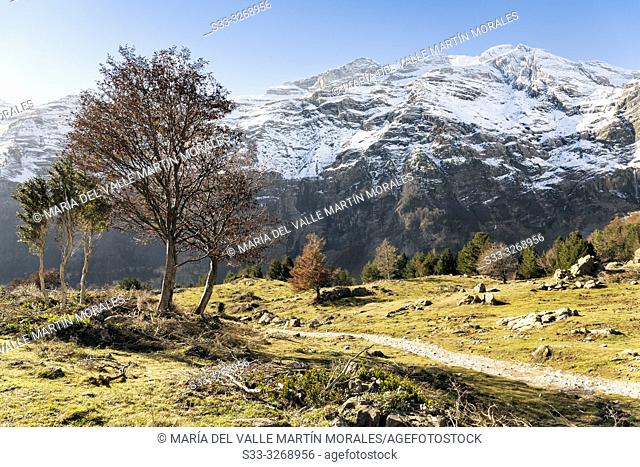 The Pineta from Lalarri Plains in Pyrenees. Huesca. Aragon. Spain. Europe