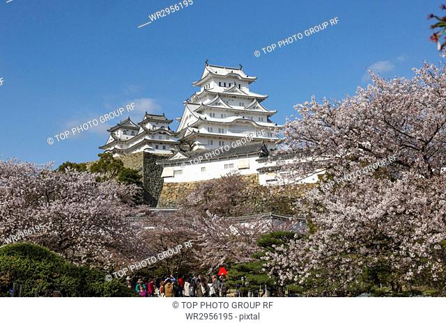Himeji Castle, Himeji, Asia, Japan