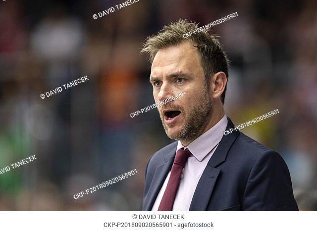 Coach FABRICE LHENRY of Rouen in action during the Ice hockey Champions League matches group F Mountfield Hradec Kralove vs