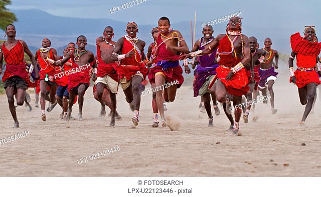 Masai Olympics: group of over 20 Masai warriors, all dressed in traditional red and blue shukas, running race on dusty plains, towards viewer, Amboseli, Kenya
