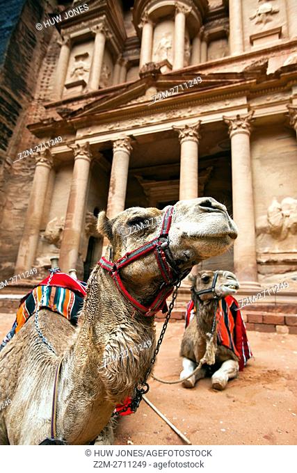 Camels resting by The Treasury (Al-Khazneh), Petra, Jordan, Western Asia