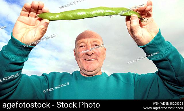 Joe Atherton with his new Guiness World Record winning heaviest Broad Bean Pod 106grams at the Malvern Autumn Show Canna UK National Giant Vegetables...