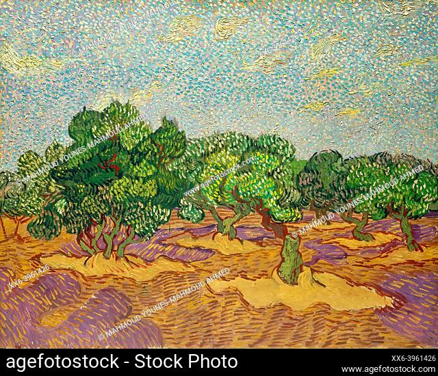 Van Gogh, Olive Trees is an oil painting on canvas 1889 - by Dutch painter Vincent Willem van Gogh (1853–1890).
