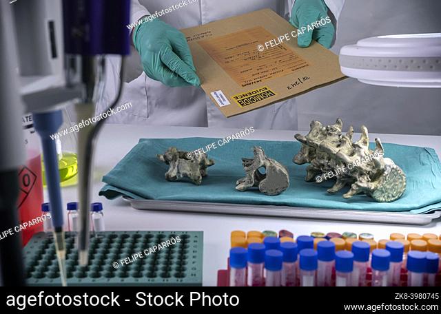 Forensic scientist examines victim's evidence file to extract DNA, forensic lab, conceptual image