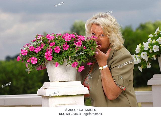 Woman smelling at petunia, Petunia hybride, flavour