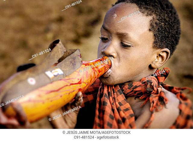 Maasai ritual. Drinking blood. Tanzania