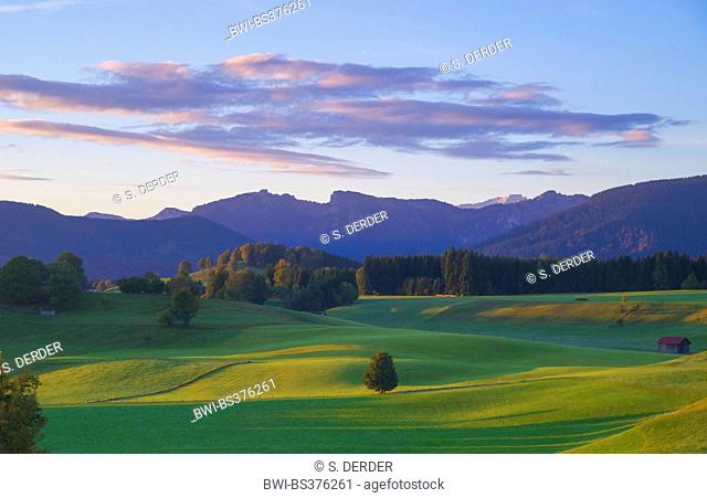 view from the Wildsteig onto the Ammer Mountains and the Zugspitze in morning light, Germany, Bavaria, Oberbayern, Upper Bavaria