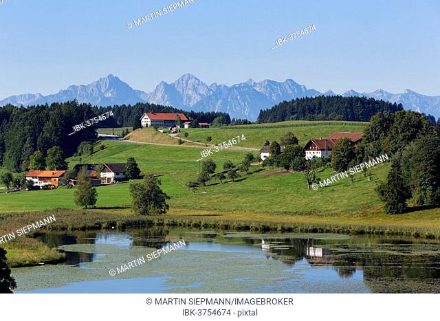 Biberschwoeller Lake, Steingaden, Pfaffenwinkel region, Upper Bavaria, Bavaria, Germany