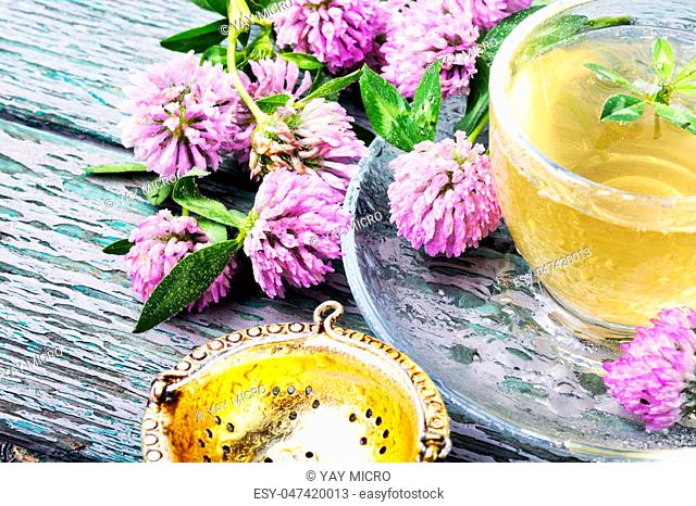 Cup of herbal tea made of wild clover.Herbal tea