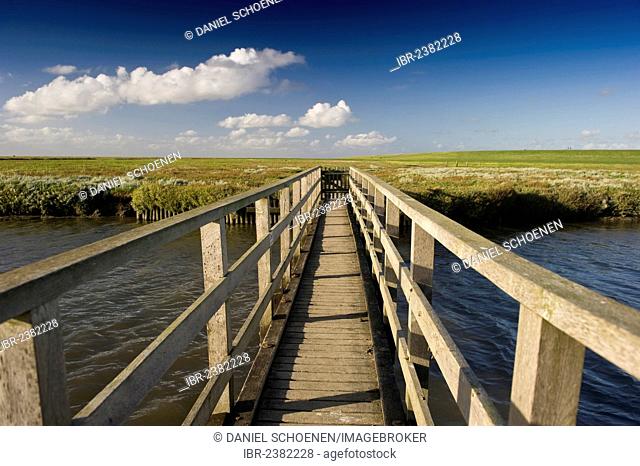 Wooden bridge and salt marshes, Westerhever, Eiderstedt, North Frisia, Schleswig-Holstein, Germany, Europe