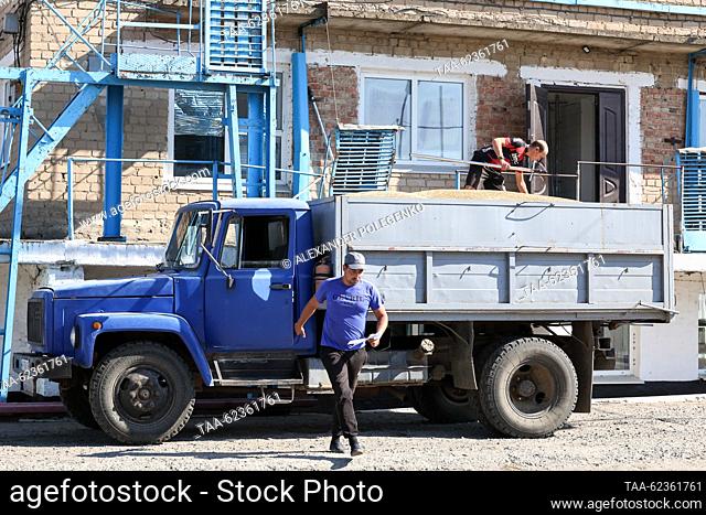RUSSIA, ZAPOROZHYE REGION - SEPTEMBER 19, 2023: Receiving harvested crops at an elevator of the State Grain Elevator. Farmers bring crops that undergo several...