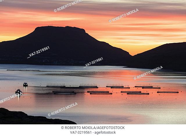Codfish tanks in the ocean at sunrise, Eidi, Nordskali fjord, Eysturoy Island, Faroe Islands