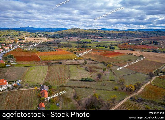 Vineyards around Belmonte drone aerial view with autumn red and yellow colors, in Portugal