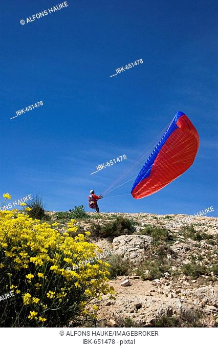 Paraglider taking off, San Javier, Murcia, Spain, Europe