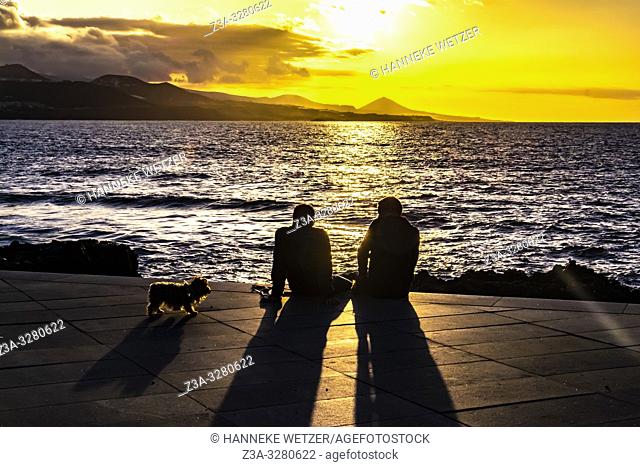 Two men and a dog enjoying the sunset at the coastline of Las Palmas de Gran Canaria, Canary Islands