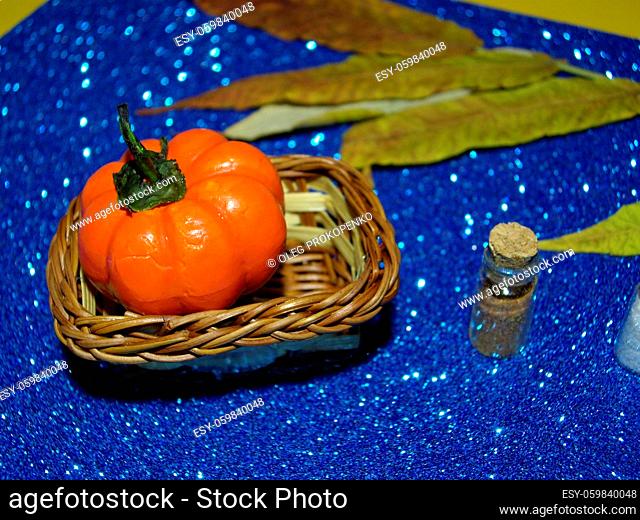 Autumn still life of plants and animals before a the halloween