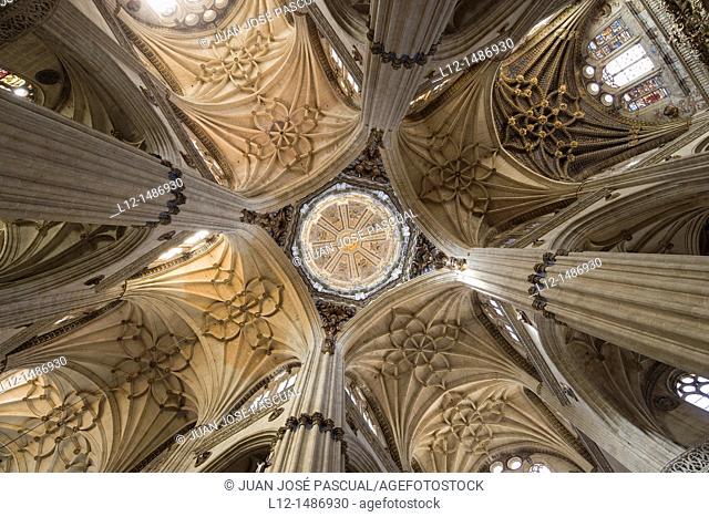Interior New Cathedral, dome and vaults, Salamanca, Castilla y león, Spain