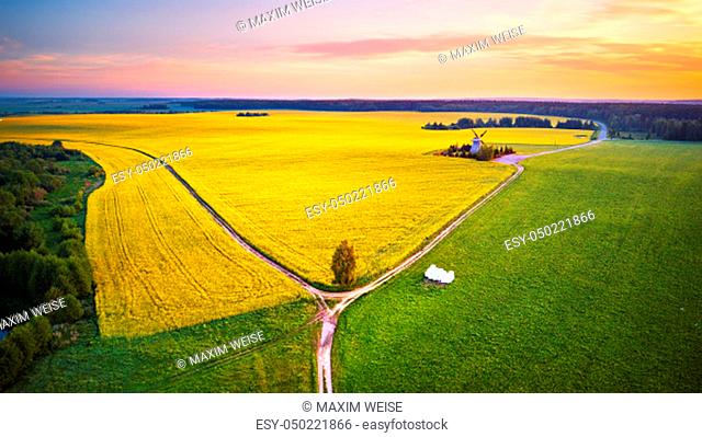 Old windmill in canola Flowering Field at spring sunrise. Aerial rural panorama. Field of rapeseed (brassica napus) with dirt roads