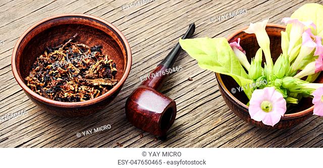 Classic tobacco smoking pipe with dried tobacco.Smoking