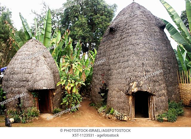 Africa, Ethiopia, Omo region, Chencha, Dorze Village Traditional elephant shaped straw hut