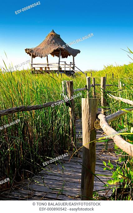 hut palapa in mangrove reed wetlands in mexico