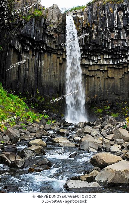 The famous waterfall Svartifoss in the nature reserve Skaftafell with his basaltic column, Iceland