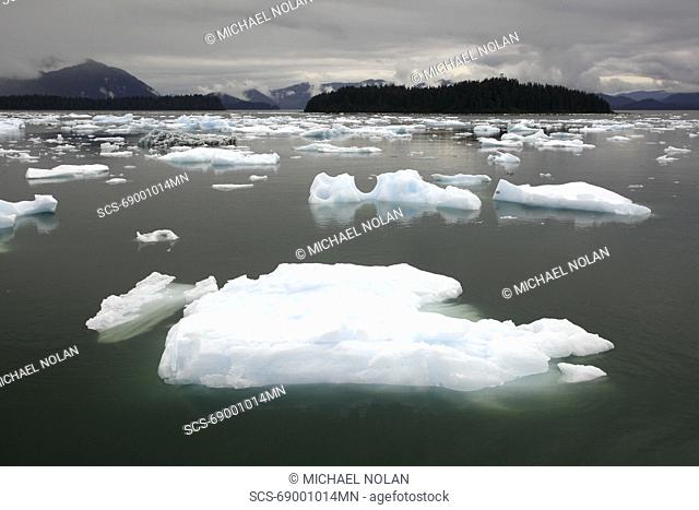 Calved icebergs and bergy bits fallen from the Le Conte Glacier in Le Conte Bay, Southeast Alaska, USA