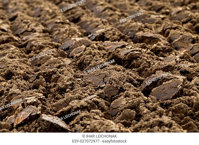on a plowed field agricultural land intended for planting and growing food