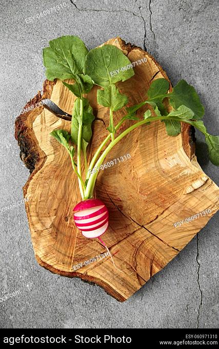 Freshly harvested, purple colorful radish on wooden cutting board. Growing radish. Growing vegetables. Seasonal Cooking, food styling